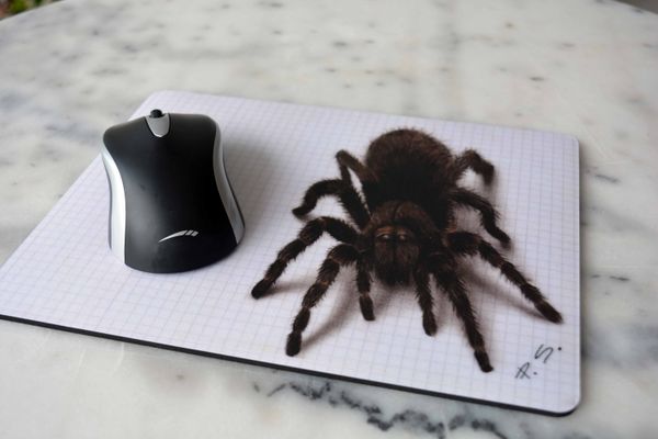 3D Art: When Drawings Come to Life 3D Art: When Drawings Come to Life - Sputnik International