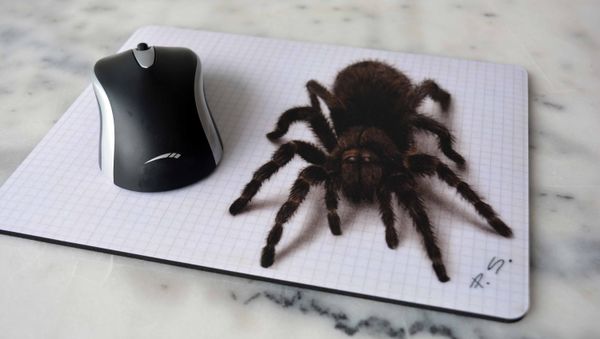 Spider - Sputnik International