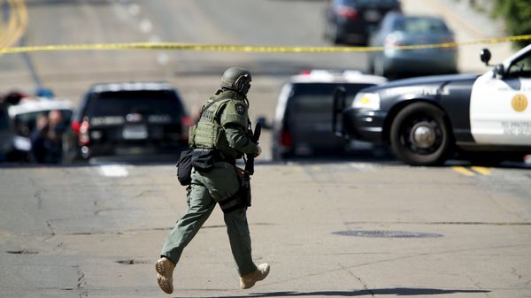A SWAT team officer - Sputnik International