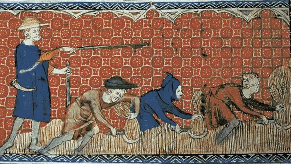 Queen Mary's Psalter shows men harvesting in 14th century Europe - Sputnik International
