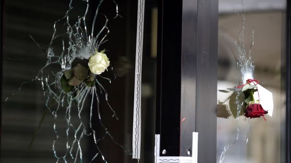 Roses are placed in bullet holes of the window of a Japanese restaurant along the Rue de Charonne in central east Paris, on November 15, 2015, two days after deadly attacks across the city Roses are placed in bullet holes of the window of a Japanese restaurant along the Rue de Charonne in central east Paris, on November 15, 2015, two days after deadly attacks across the city - Sputnik International
