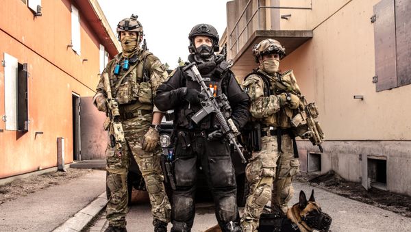 FSK (Armed Forces' Special Command), MJK (Navy Ranger Command) and Beredskapstroppen (Fast Response Team) hold a counter-terrorism training in Rena camp at the final stage of Gemini 2014 exercises - Sputnik International
