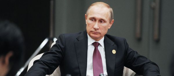 Vladimir Putin takes part in G20 summit in Turkey Vladimir Putin takes part in G20 summit in Turkey - Sputnik International