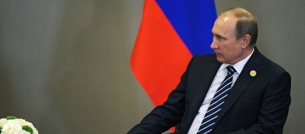 Vladimir Putin takes part in G20 summit in Turkey - Sputnik International