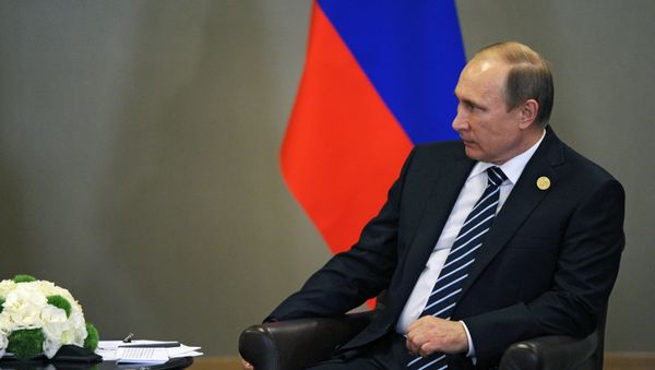 Vladimir Putin takes part in G20 summit in Turkey Vladimir Putin takes part in G20 summit in Turkey - Sputnik International