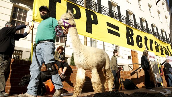 Farm activist Ethan Abbott walks with his alpaca during a protest of the TPP (Trans-Pacific Partnership) held outside the Office of the U.S. Trade Representative in Washington, November 16, 2015 Farm activist Ethan Abbott walks with his alpaca during a protest of the TPP (Trans-Pacific Partnership) held outside the Office of the U.S. Trade Representative in Washington, November 16, 2015 - Sputnik International