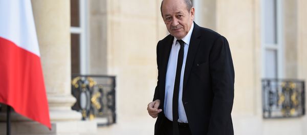 French Defence minister Jean-Yves Le Drian arrives for a meeting on November 15, 2015 at the Elysee Presidential Palace in Paris French Defence minister Jean-Yves Le Drian arrives for a meeting on November 15, 2015 at the Elysee Presidential Palace in Paris - Sputnik International