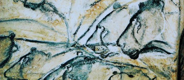 Lions painted in the Chauvet Cave. Lions painted in the Chauvet Cave. - Sputnik International