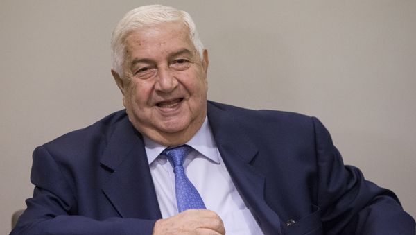 Syrian Deputy Prime Minister and Foreign Minister Walid Muallem. Syrian Deputy Prime Minister and Foreign Minister Walid Muallem. - Sputnik International
