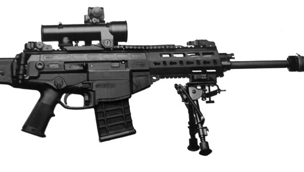 Beretta Defense Technologies ARX-200 battle rifle - Sputnik International