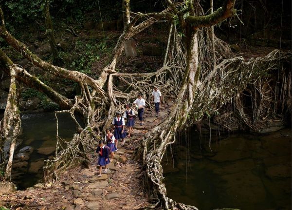 We Build Too Many Walls and Not Enough Bridges We Build Too Many Walls and Not Enough Bridges - Sputnik International