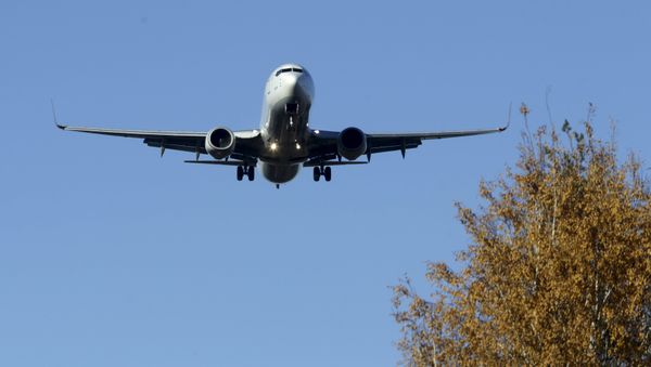 Turkish Airlines Airbus A330 aircraft approaches Riga International airport, Latvia, October 28, 2015 - Sputnik International