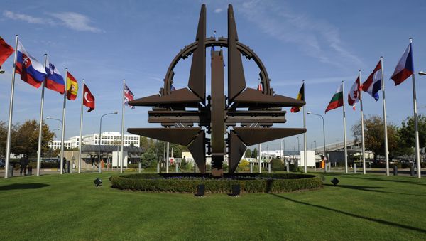The NATO emblem is seen before a defence ministers meeting at the NATO headquarters in Brussels on October 22, 2013 The NATO emblem is seen before a defence ministers meeting at the NATO headquarters in Brussels on October 22, 2013 - Sputnik International