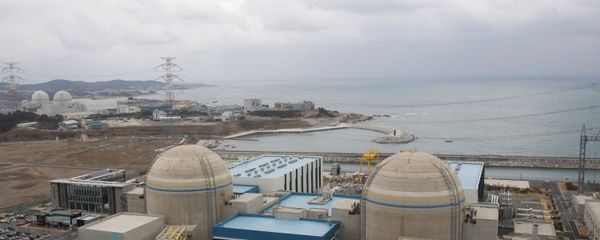 In this Feb. 5, 2013 photo, Shin-Kori No. 2 nuclear power plant, left in foreground, stands next to Shin-Kori No. 1 plant, right foreground, in Ulsan, South Korea - Sputnik International