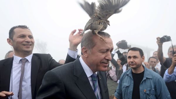 Turkish President Tayyip Erdogan, accused by critics of an increasingly authoritarian style of government, has argued that the country would be better served by a strong presidential system Turkish President Tayyip Erdogan, accused by critics of an increasingly authoritarian style of government, has argued that the country would be better served by a strong presidential system - Sputnik International