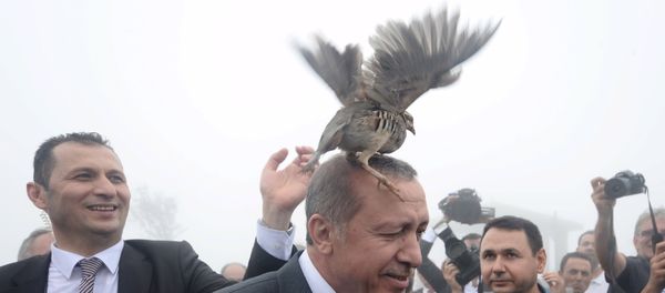 Turkish President Tayyip Erdogan, accused by critics of an increasingly authoritarian style of government, has argued that the country would be better served by a strong presidential system - Sputnik International