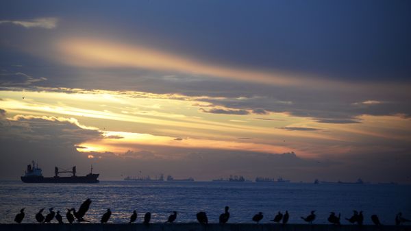 Ships wait at the entrance of the Bosphorus, connecting the Black Sea with the Sea of Marmara in Istanbul - Sputnik International