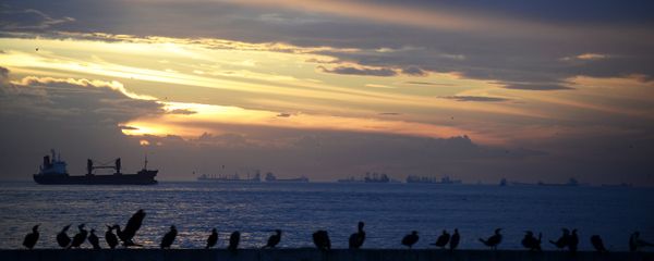 Ships wait at the entrance of the Bosphorus, connecting the Black Sea with the Sea of Marmara in Istanbul Ships wait at the entrance of the Bosphorus, connecting the Black Sea with the Sea of Marmara in Istanbul - Sputnik International