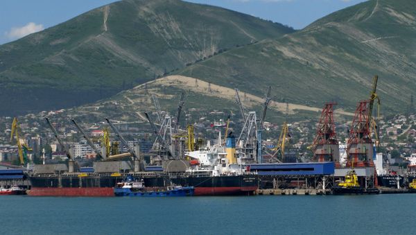 View at the cargo port of Novorossiysk. - Sputnik International