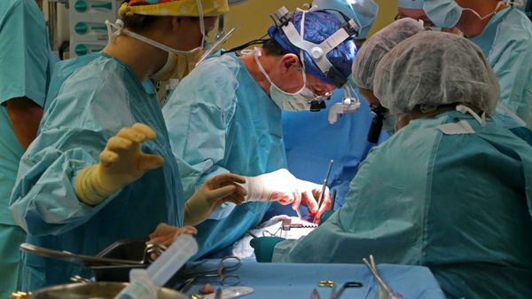 Details of Russia’s First Face Transplant Surgery Revealed - Sputnik International