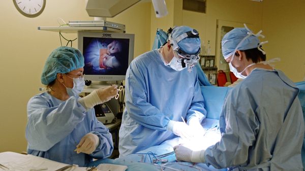 Federal Center of Cardiovascular Surgery in Chelyabinsk - Sputnik International