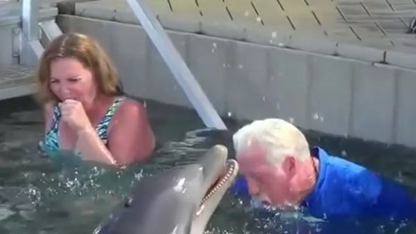 Dolphin Encounter - Sputnik International