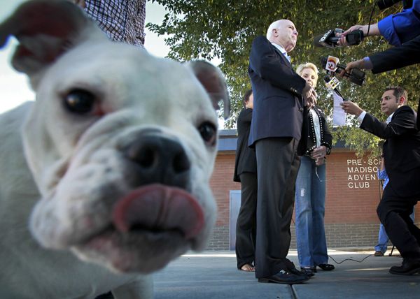 Four-Legged Companions of Some of the Most Powerful People in the World - Sputnik International