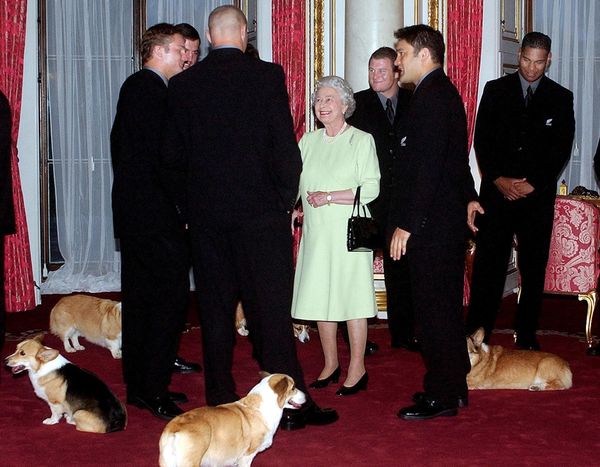 Four-Legged Companions of Some of the Most Powerful People in the World - Sputnik International