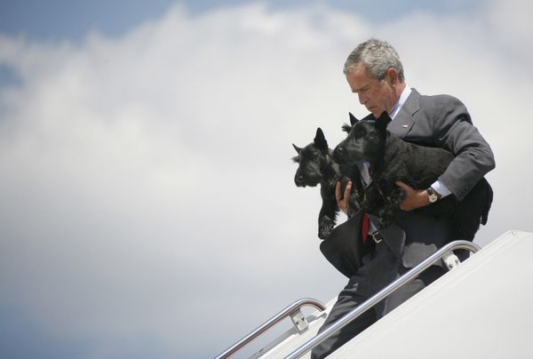 Four-Legged Companions of Some of the Most Powerful People in the World - Sputnik International