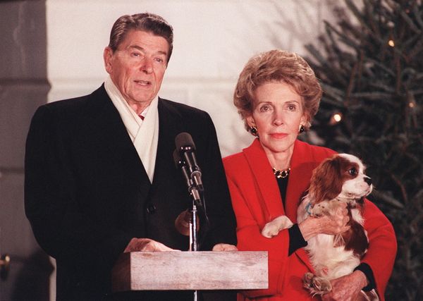 Four-Legged Companions of Some of the Most Powerful People in the World - Sputnik International