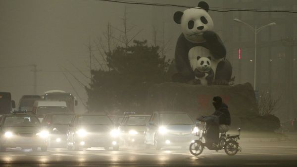 A resident rides an electric bicycleacross a street amid heavy smog as vehicles wait for a traffic light next to a statue of pandas, a landmark of the Wangjing area in Beijing, China, December 1, 2015 A resident rides an electric bicycleacross a street amid heavy smog as vehicles wait for a traffic light next to a statue of pandas, a landmark of the Wangjing area in Beijing, China, December 1, 2015 - Sputnik International