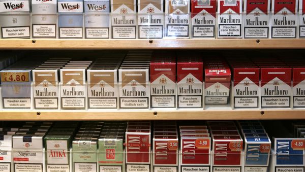 Boxes of cigarettes are seen in a rack in a tobacco shop in Bremen, Thursday, Jan. 17, 2008. - Sputnik International