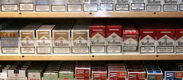 Boxes of cigarettes are seen in a rack in a tobacco shop in Bremen, Thursday, Jan. 17, 2008. Boxes of cigarettes are seen in a rack in a tobacco shop in Bremen, Thursday, Jan. 17, 2008. - Sputnik International