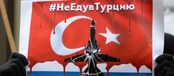 Protests in Moscow against Turkish Air Forces' actions - Sputnik International