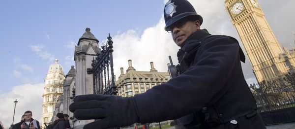 A police officer controls traffic outside the Houses of Parliament in central London on November 25, 2015. - Sputnik International