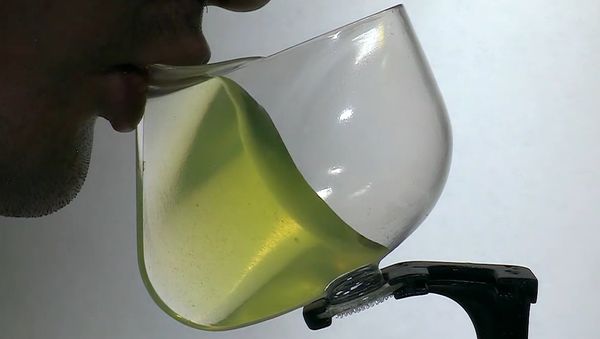 Drinking in Space: Space Cup Science Setup and Ops - Sputnik International