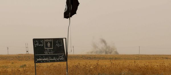 Smoke rises in the distance behind an Islamic State (IS) group flag and banner Smoke rises in the distance behind an Islamic State (IS) group flag and banner - Sputnik International