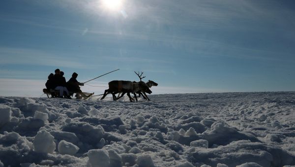 Reindeer Herder Day celebrated in Salekhard Reindeer Herder Day celebrated in Salekhard - Sputnik International