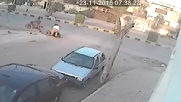 Car mirror thief gets instant justice - Sputnik International