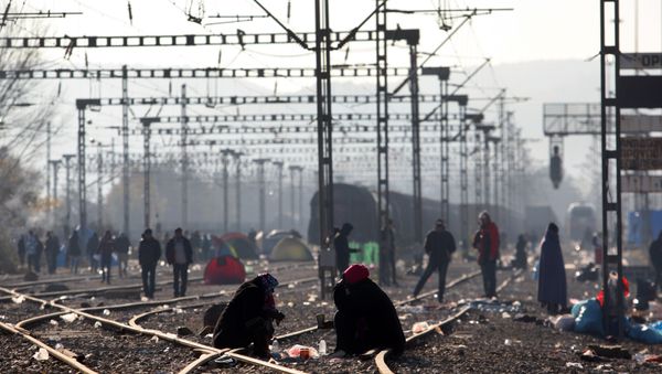 Migrants and refugees wait to cross the Greek-Macedonian border near Idomeni on December 7, 2015 - Sputnik International