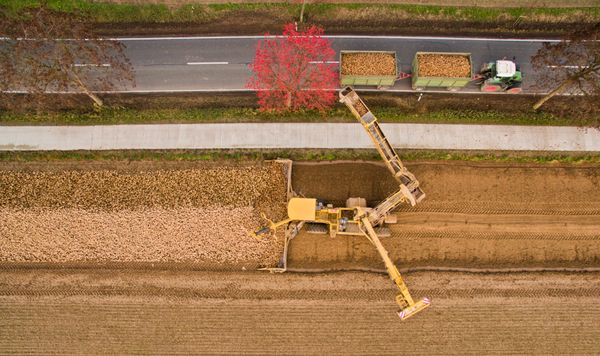 Aerial view taken on November 26, 2015 shows farmers cropping sugar beets on a field near Pattensen in the Hanover region, central Germany - Sputnik International