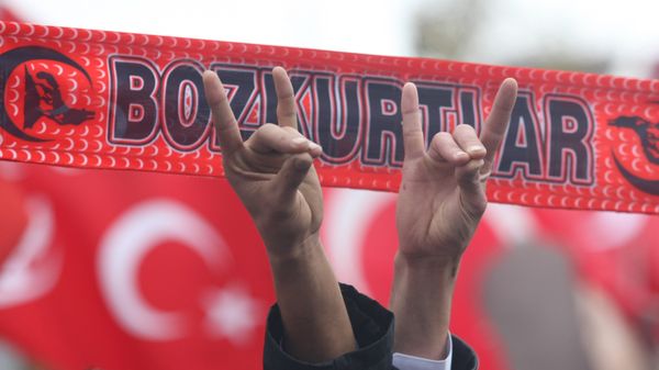 Supporters of the Nationalist Movement Party make gestures symbolizing Grey Wolves, the ultra-nationalist, neo-fascist youth organization of the party, in Ankara December 13, 2009 during a brotherhood rally in reaction to a decision by a court on December 11, 2009 to disband the Kurdish Democratic Society Party (DTP) - Sputnik International