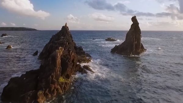 Wild Scotland - Sputnik International