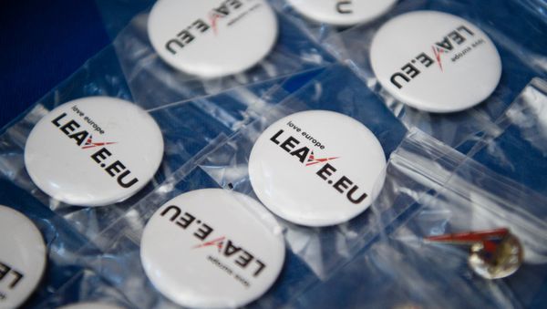 Campaign merchandise is on display at a stall before a press briefing by the Leave.EU campaign group in central London on November 18, 2015. - Sputnik International