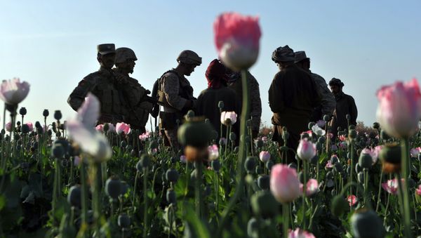 Rudy Ayala (2nd L) Law Enforcement Professional embeded with the Marine corps questions opium poppy farmers at Maranjan village in Helmand province on April 25, 2011 as US Marines from Border Adviser Team (BAT) and Explosive Ordance Disposal 1st and 2nd Marine Division (Forward) and Afghanistan National Police take patrol in the area Rudy Ayala (2nd L) Law Enforcement Professional embeded with the Marine corps questions opium poppy farmers at Maranjan village in Helmand province on April 25, 2011 as US Marines from Border Adviser Team (BAT) and Explosive Ordance Disposal 1st and 2nd Marine Division (Forward) and Afghanistan National Police take patrol in the area - Sputnik International