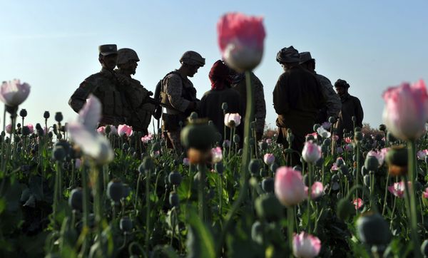 Rudy Ayala (2nd L) Law Enforcement Professional embeded with the Marine corps questions opium poppy farmers at Maranjan village in Helmand province on April 25, 2011 as US Marines from Border Adviser Team (BAT) and Explosive Ordance Disposal 1st and 2nd Marine Division (Forward) and Afghanistan National Police take patrol in the area - Sputnik International
