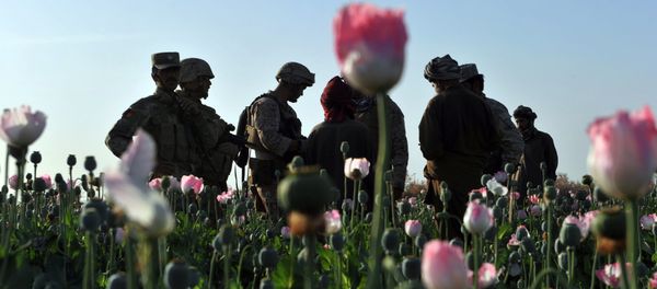 Rudy Ayala (2nd L) Law Enforcement Professional embeded with the Marine corps questions opium poppy farmers at Maranjan village in Helmand province on April 25, 2011 as US Marines from Border Adviser Team (BAT) and Explosive Ordance Disposal 1st and 2nd Marine Division (Forward) and Afghanistan National Police take patrol in the area Rudy Ayala (2nd L) Law Enforcement Professional embeded with the Marine corps questions opium poppy farmers at Maranjan village in Helmand province on April 25, 2011 as US Marines from Border Adviser Team (BAT) and Explosive Ordance Disposal 1st and 2nd Marine Division (Forward) and Afghanistan National Police take patrol in the area - Sputnik International