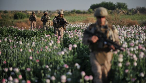 US Marines and Gunnary Sergeant Nate Cosby (R), Staff Sergeant Josh Lacey (2nd R) and Navy Hospitalman 2 Daniel Holmberg (L) from Border Adviser Team (BAT) and Explosive Ordance Disposal (EOD) 1st and 2nd Marine Division (Forward) walk through opium poppy field at Maranjan village in Helmand province on April 25, 2011 as they take patrol with their team and Afghanistan National Police. - Sputnik International