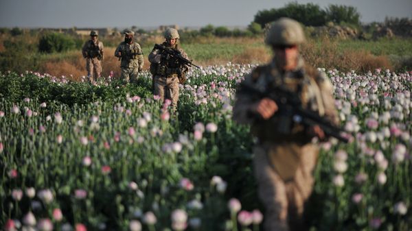 US Marines and Gunnary Sergeant Nate Cosby (R), Staff Sergeant Josh Lacey (2nd R) and Navy Hospitalman 2 Daniel Holmberg (L) from Border Adviser Team (BAT) and Explosive Ordance Disposal (EOD) 1st and 2nd Marine Division (Forward) walk through opium poppy field at Maranjan village in Helmand province on April 25, 2011 as they take patrol with their team and Afghanistan National Police - Sputnik International