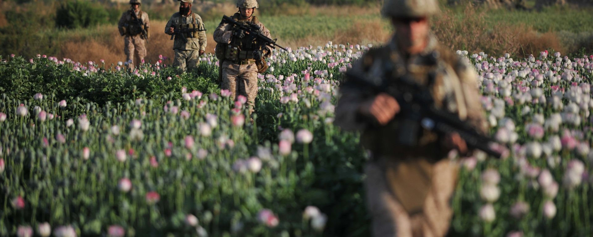 US Marines and Gunnary Sergeant Nate Cosby (R), Staff Sergeant Josh Lacey (2nd R) and Navy Hospitalman 2 Daniel Holmberg (L) from Border Adviser Team (BAT) and Explosive Ordance Disposal (EOD) 1st and 2nd Marine Division (Forward) walk through opium poppy field at Maranjan village in Helmand province on April 25, 2011 as they take patrol with their team and Afghanistan National Police. US Marines and Gunnary Sergeant Nate Cosby (R), Staff Sergeant Josh Lacey (2nd R) and Navy Hospitalman 2 Daniel Holmberg (L) from Border Adviser Team (BAT) and Explosive Ordance Disposal (EOD) 1st and 2nd Marine Division (Forward) walk through opium poppy field at Maranjan village in Helmand province on April 25, 2011 as they take patrol with their team and Afghanistan National Police. - Sputnik International, 1920, 24.08.2020